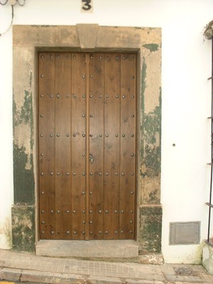 Puerta entrada nogal claro